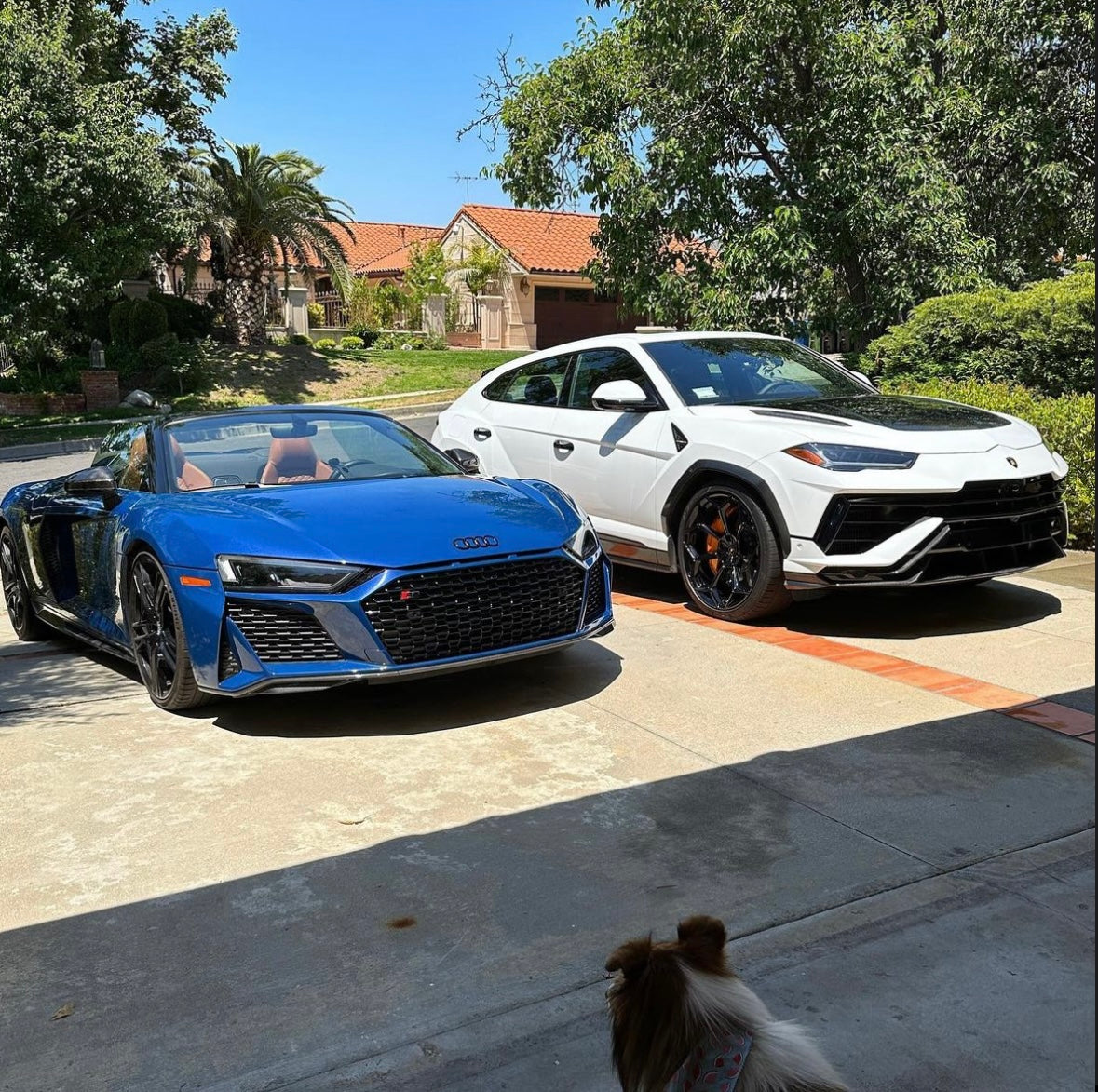 Source and Negotiate Service